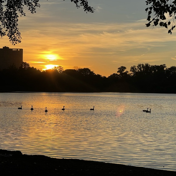 Meet your Posher, Cynthia - Picture 1 of 2